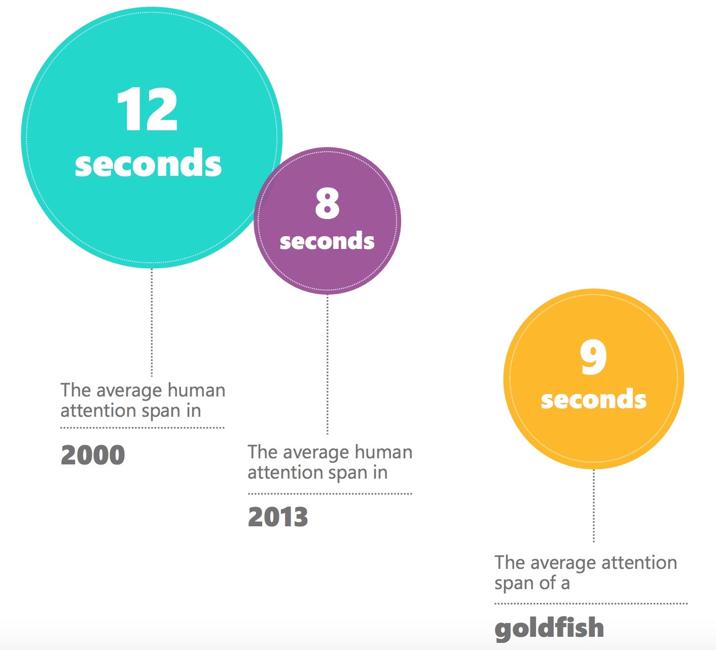 Attention span. The average Human attention span. Low attention span. Average Human.
